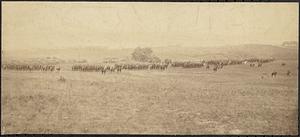 13th N.Y. Cavalry on inspection, Prospect Hill