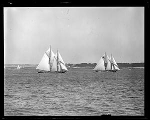 Fishing schooners