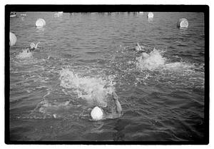 Swim competition