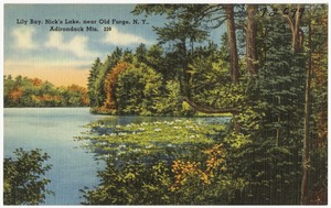 Lilly Bay, Nick's Lake, near Old Forge, N. Y., Adirondack Mts.