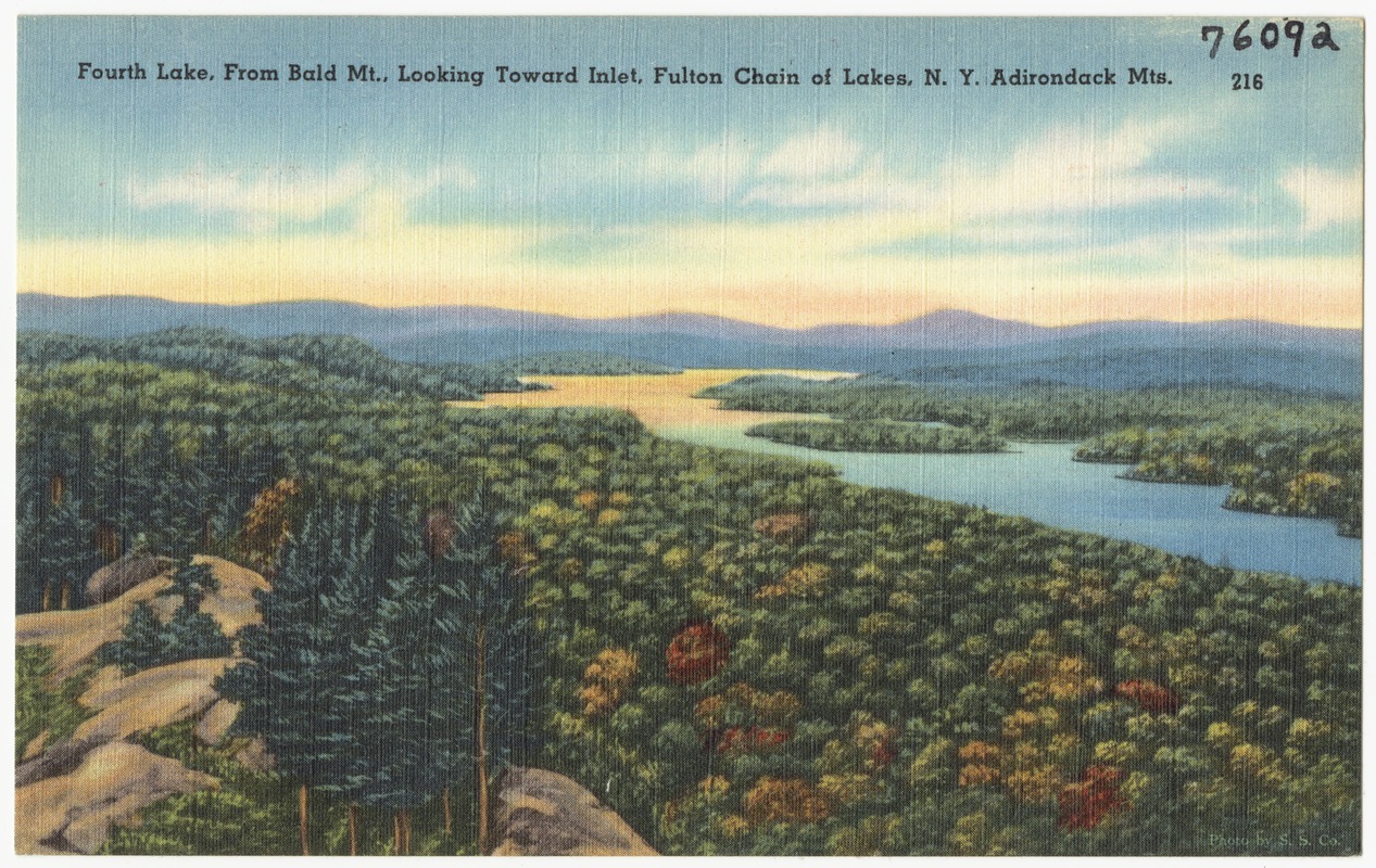 Fourth Lake, from Bald Mt., looking toward inlet, Fulton Chain of Lakes, N. Y. Adirondack Mts.