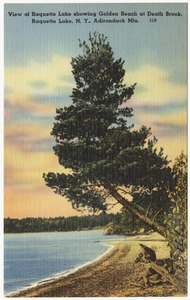 View of Raquette Lake showing Golden Beach at Death Brook. Raquette Lake, N. Y., Adirondack Mts.