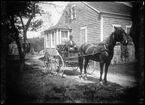 Horse & wagon & man