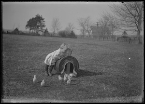 Young girl w/ 5 baby chickens. Picket fence & house & telephone pole in background