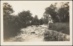 Mill Pond 1900 & Herring Run