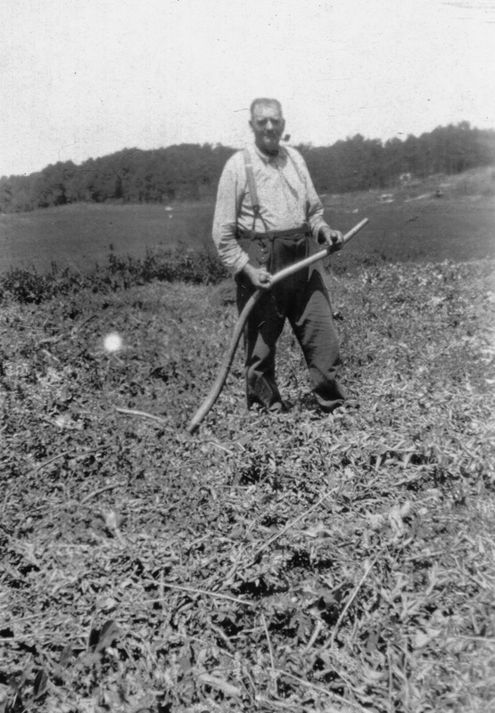 Ansel Austin Fuller, cutting hay with scythe