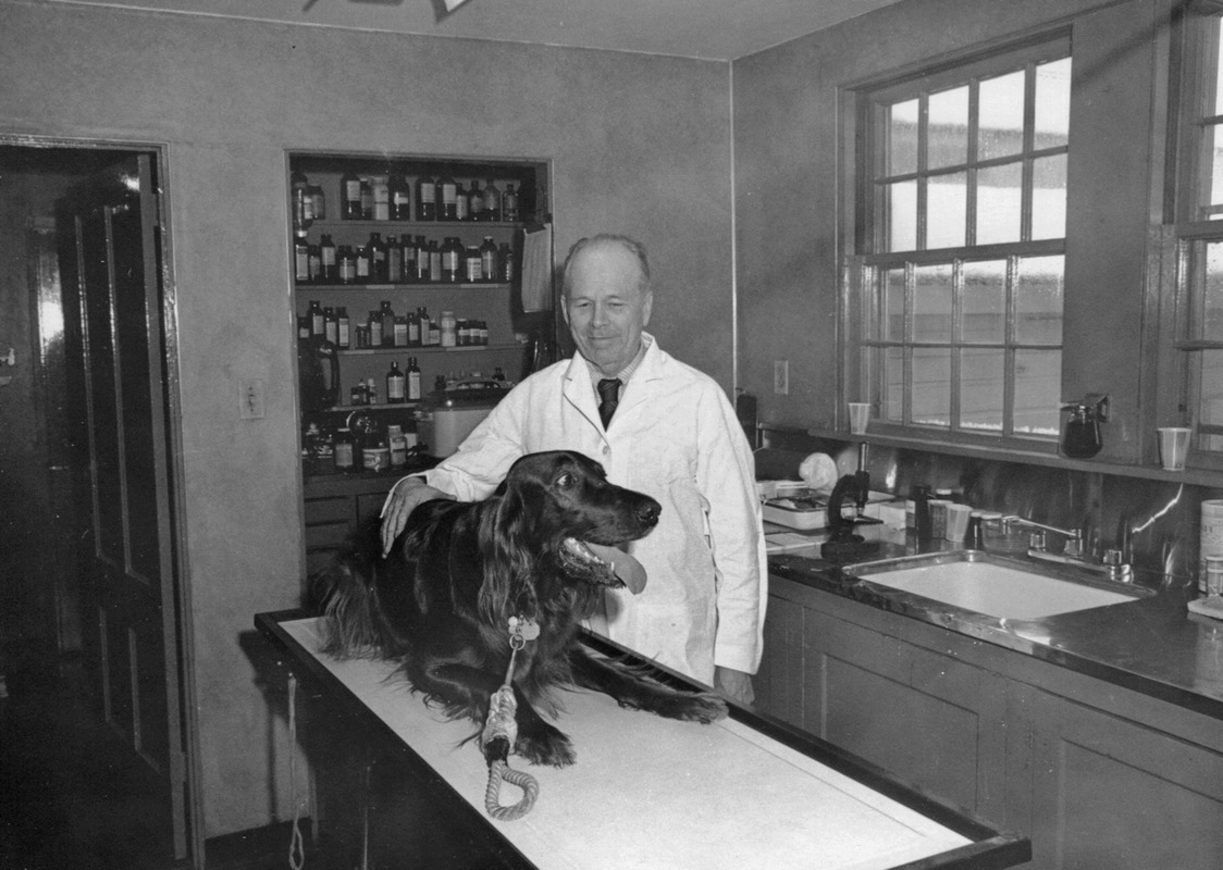 Dr. Daniel Leach, first veterinarian on Cape Cod Digital Commonwealth