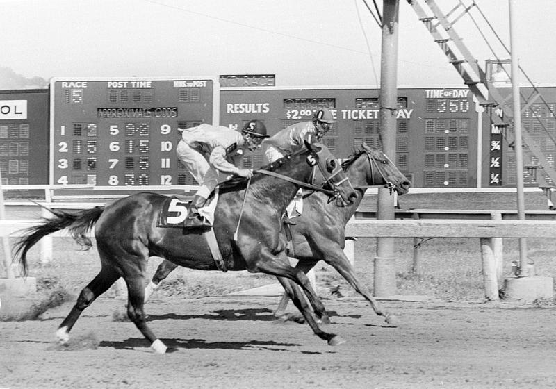 State Racing Commission inspection, Suffolk Downs, Boston