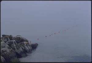 Line of buoys on water