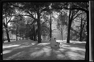 Commonwealth Avenue, Boston