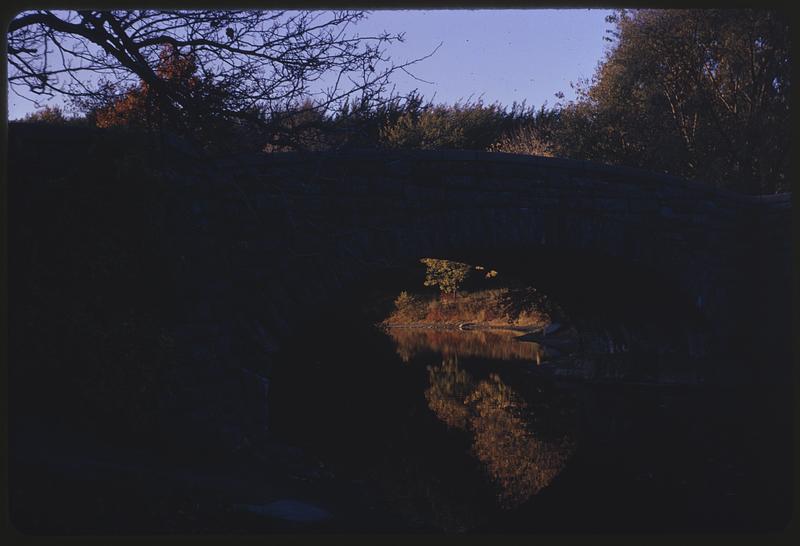 A bridge with water reflecting beneath it