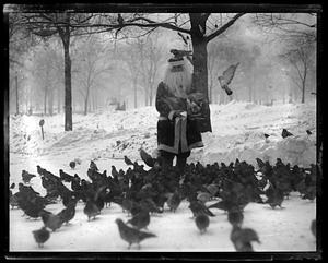 Santa feeds pigeons, Boston Common