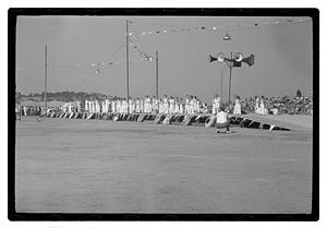 Boston Park Department circus event