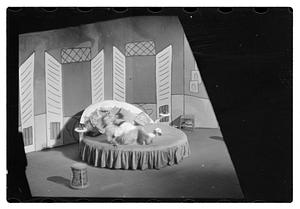 Follies