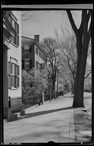 Street scene