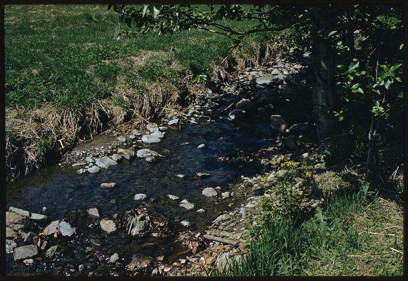 View of stream