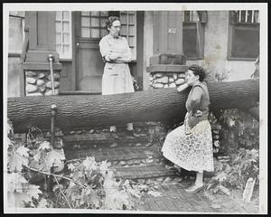 Sadness For The Fallen - Miss Adelaide Bedlow, left, 307 Main St., Melrose, gets sympathy from neighbor, Mrs. Frank Coughlin, after storm which felled fine old tree on her doorstep.