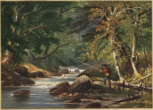 Vermont scenery, the trout stream, Vermont