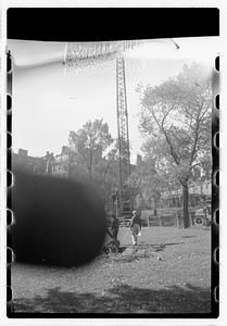 Tree removal