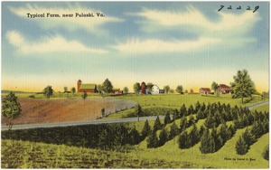 Typical farm, near Pulaski, Va.