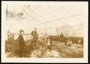 Greenhouse