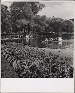 Public Gardens 1 - Summer