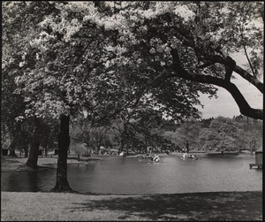 Public Gardens 1 - Summer