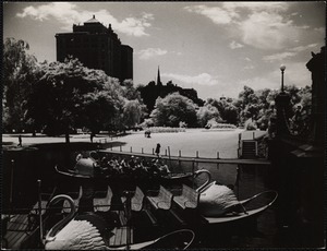 Public Garden - swan boats, spring