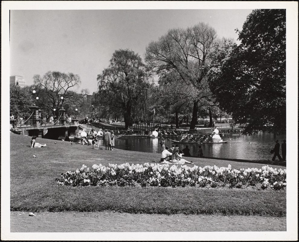 Boston Public Gardens