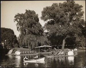 Public Gardens 1 - Summer