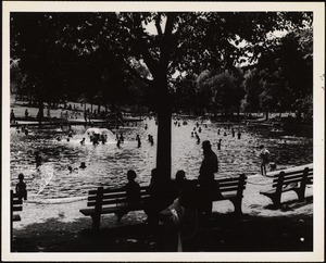 Frog Pond - Boston Common