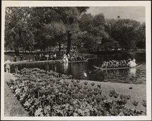 Public Gardens 2 - Summer