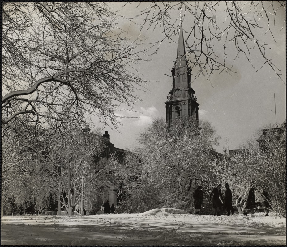 Public Gardens 2 - Winter