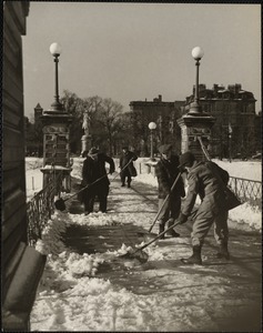 Public Gardens 1 - Winter