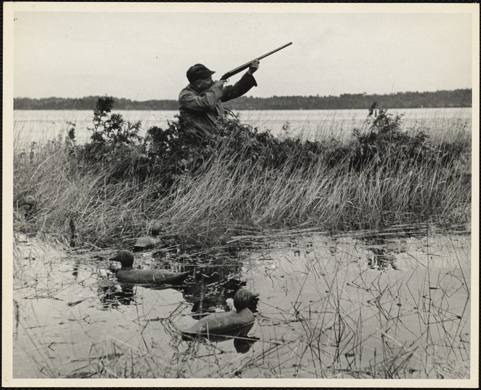 Duck blind