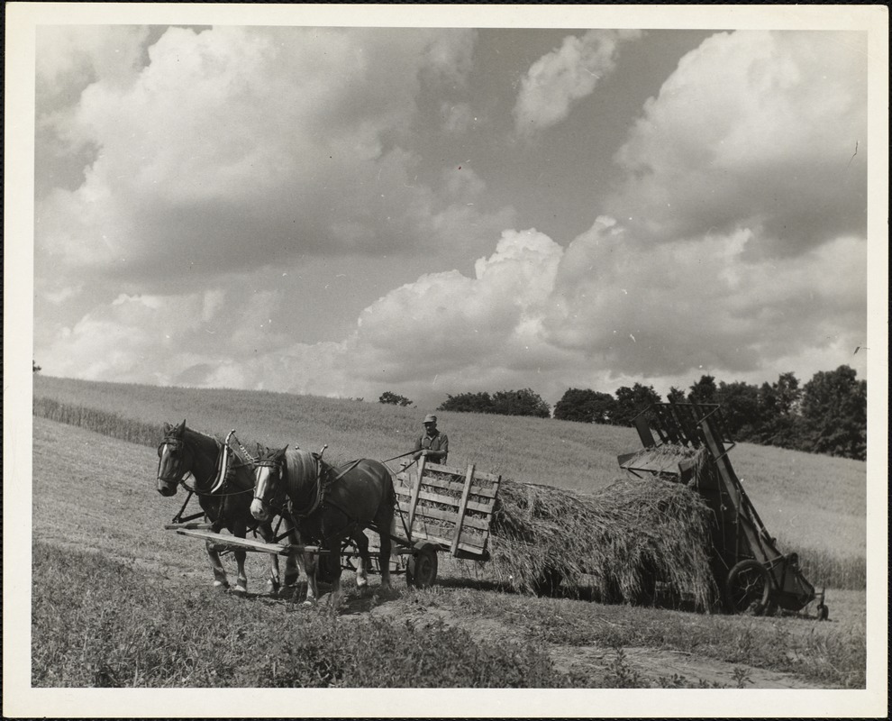 East Corinth, VT Digital Commonwealth