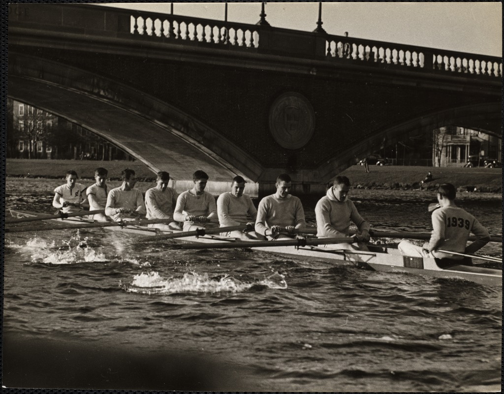 Harvard varsity crew