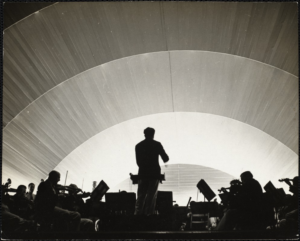 Hatch Shell 1