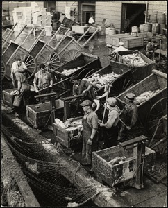 Boston, fish pier