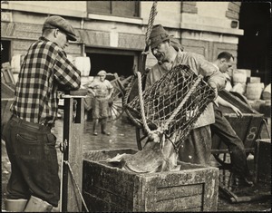 Fish pier 1