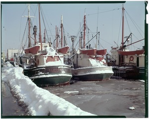 Boston fish pier