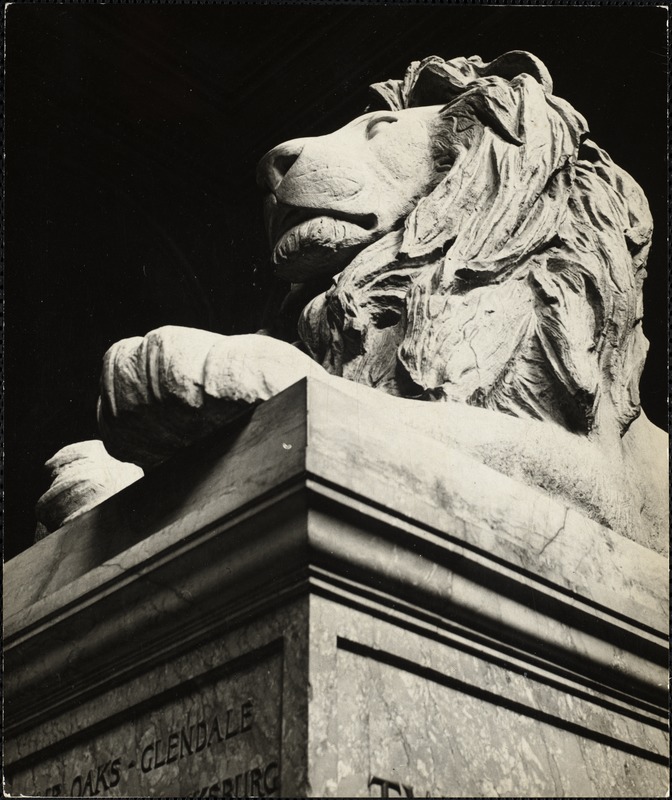 One of the two lions on main staircase of Boston Public Library, Copley Sq.
