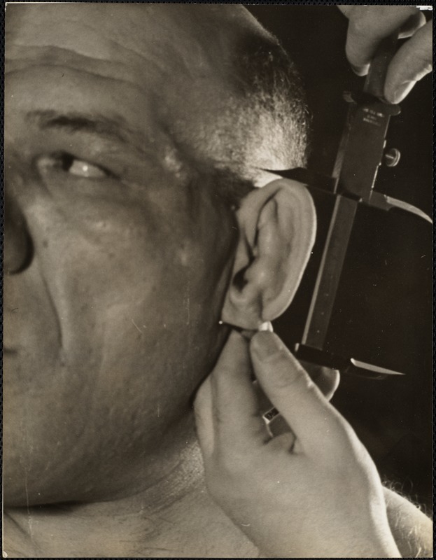 Ear length - Digital Commonwealth