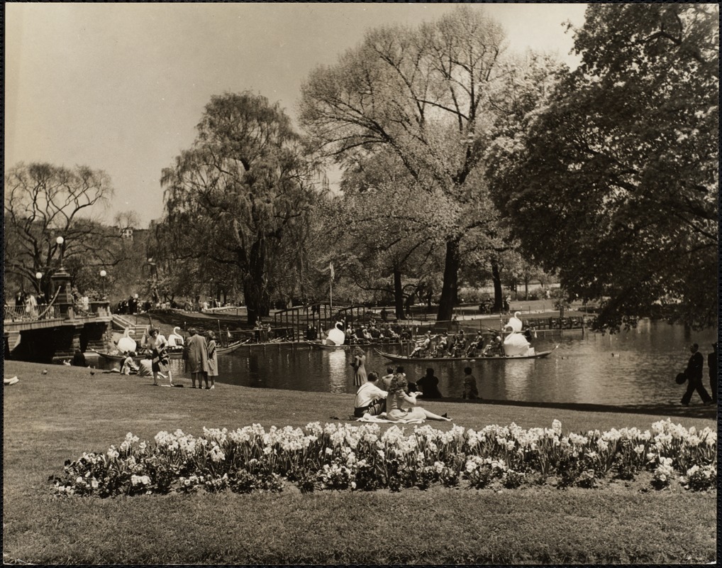 Swan boat - Public Garden