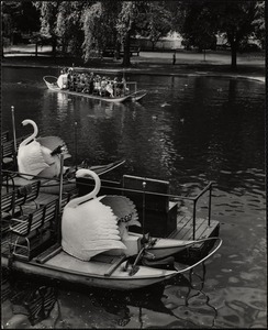 Swan boats, Public Gardens Boston, Mass