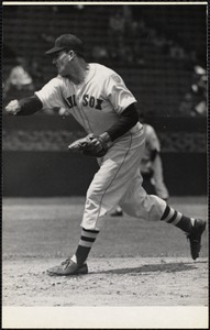 Ferriss