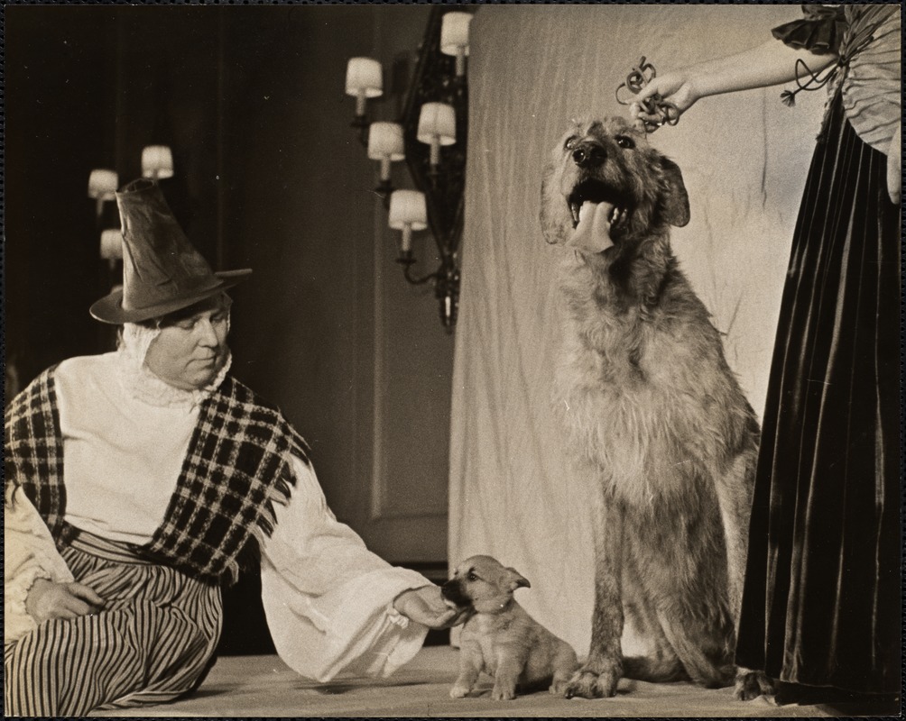 Mrs. W.L. McCammon and a Welsh corgi pup - champion Taffy of Ambleside, Irish wolfhound