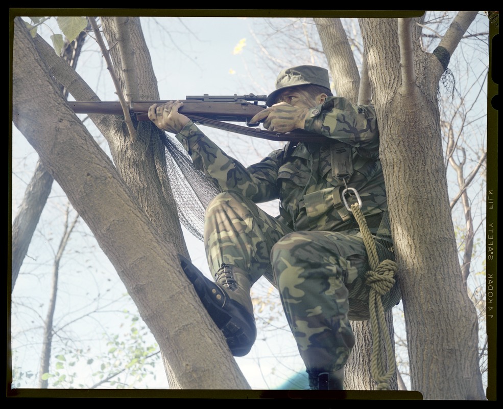 Combat arms branch, soldier sniping on tree sitting on netting