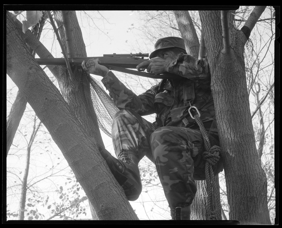 Combat arms branch, soldier sniping on tree sitting on netting