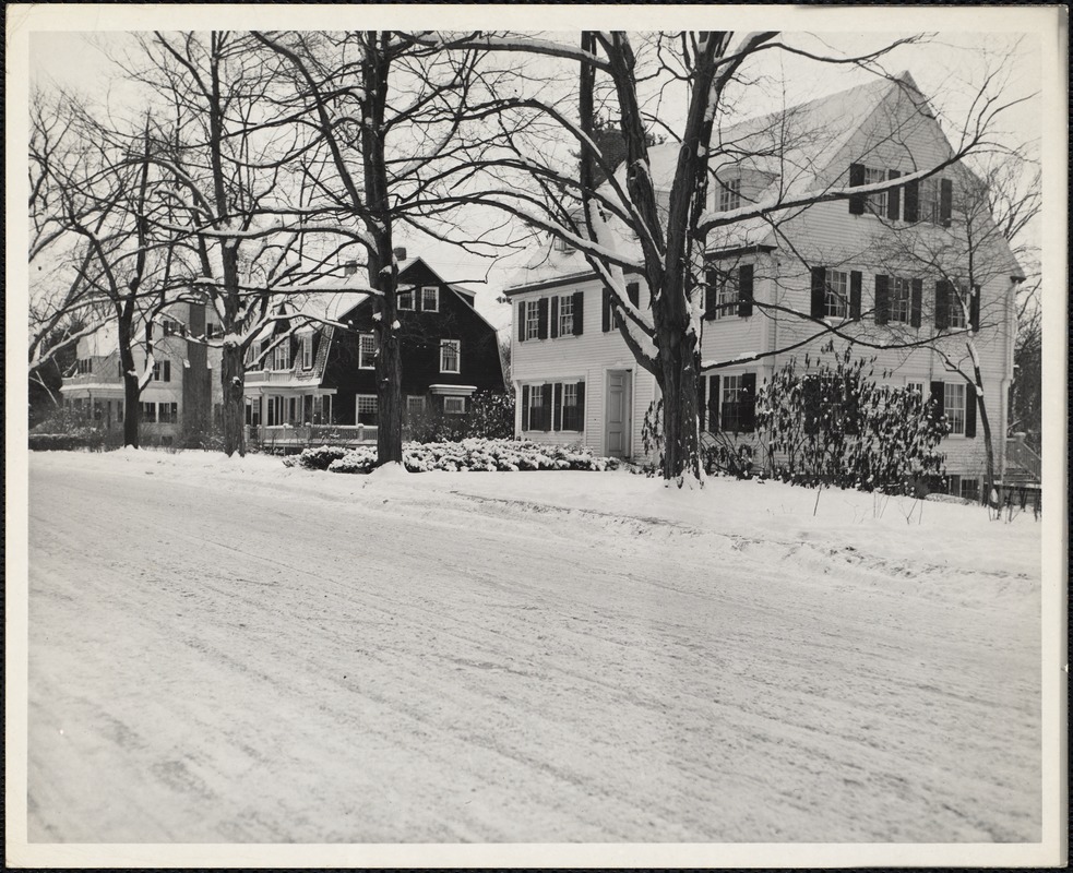 Buildings: Fernwood, Pine Cottage, Pine Manor Music Center